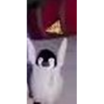 Combustible Penguins