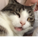 Tilde the Almighty