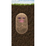 Robuxformebsfs