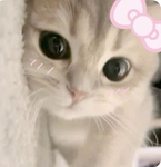 { Sifts angels :3 }