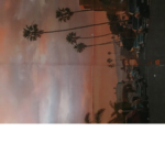 Asthetic pics for you and chats and more
