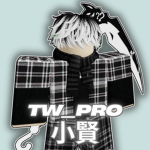 TW_PRO 小賢の群