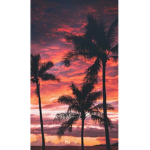 Tropical_people