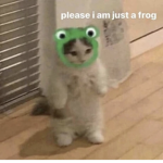 Lgbtq+ No spam or trolls :)