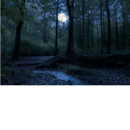 (HORROR) forests galore.
