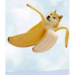 BANANAS-GROUP