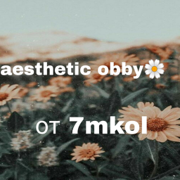 aestetic obby