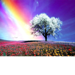 Color rainbow good