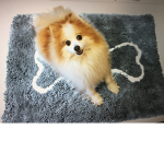 Doggie_thebest