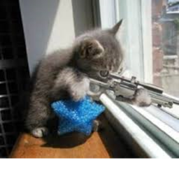 Snipers Paradise