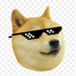 DOGE CLUB!!!!!!