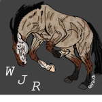 +* Wild juniper ranch *+