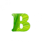 bibsyer products