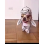 Ángelaa
