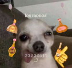 los monos'