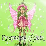 Everskies Closet