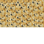 Doge Makers