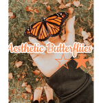ʚ - .⋅Aestheic Butterfliiies.⋅ - ɞ