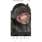 Monkeys are cool lol