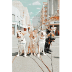 *THE RUDE DOGS*