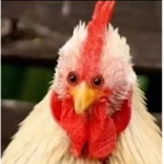 qwertyuiopasdfghjklzxcvbnmqqqqqqqqqq