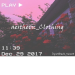 Aesthetic_Clothing.