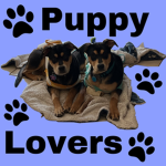 ~ThePuppySquad~