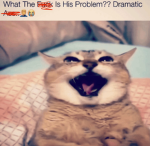 : JAYYY :
