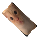 Cat Plushie