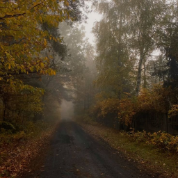 autumn
