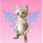 Siya bb