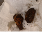 Fried chicken boa