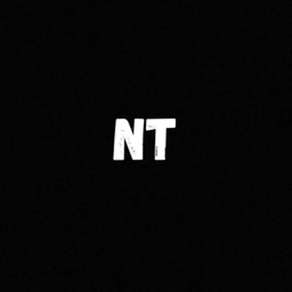 NT ( Night Team ) Roblox group icon
