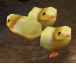 K0Ol Kids Club
