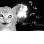 Cats United! Take Down The Rats!