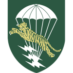 81st Airborne Ranger Battalion