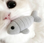 ! bunnify