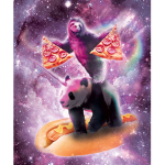 The World of sloths forever!