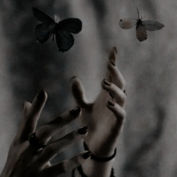 𝙩𝙝𝙚𝙢 𝙨𝙖𝙮