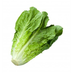 The Deli With No Lettuce