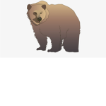 Big bear studio