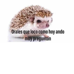 Doy robux pa mis amigas