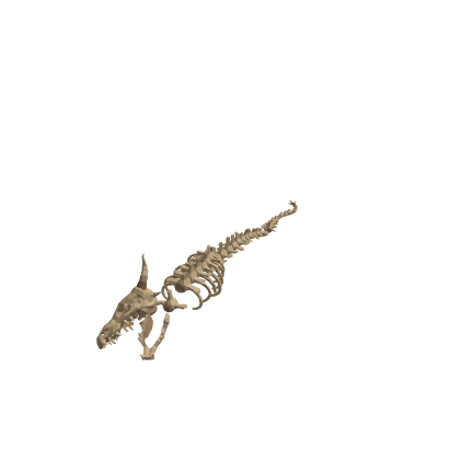 Dragon Skeleton