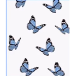24xkdstiny