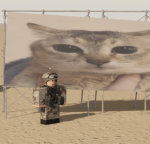 —The United States Military—
