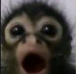 ANGELLLSSS