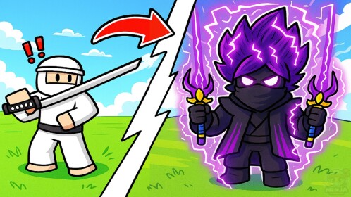 Ninja Evolution