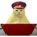 The Dictatorship of Meow - a - stan