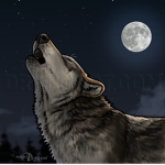 ~_The Wolves_~