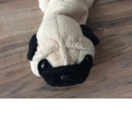The puggy people